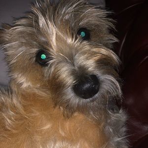 Meet your Posher, Jayson